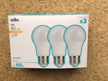 Photo of free light bulbs (Tremadog LL49) #1