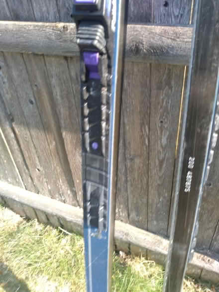 Photo of free Waxless Cross Country Skis -older (Pawtucketville / Lowell) #1