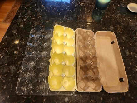 Photo of egg cartons (Wake/Durham/Chatham Counties) #1