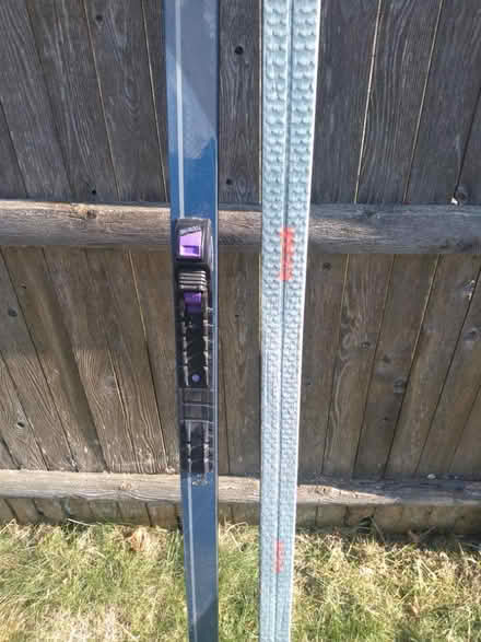 Photo of free Waxless Cross Country Skis -older (Pawtucketville / Lowell) #2