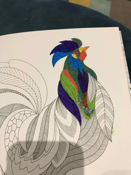 Photo of free Colouring Book (SK7) #2