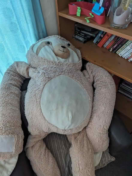 Photo of free Giant toy sloth (BS41) #1