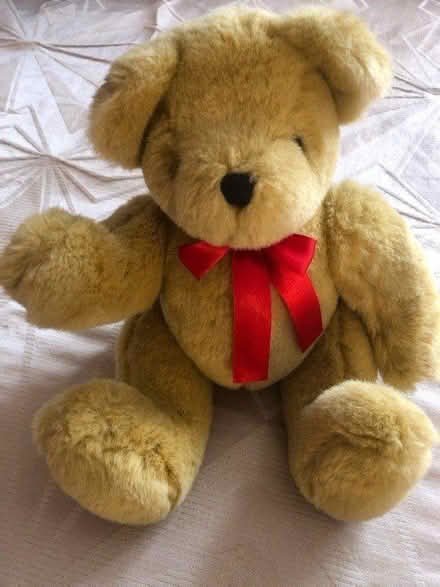 Photo of free 2 Teddies (Chiswick Park Station) #3