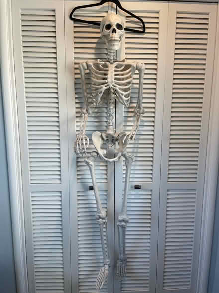 Photo of free Halloween Skeleton (Mt View near Springer / Cuesta) #1