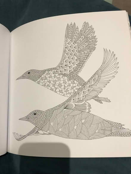 Photo of free Colouring Book (SK7) #1