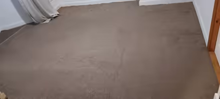 Photo of free Capet brown beige (Hala LA1) #1