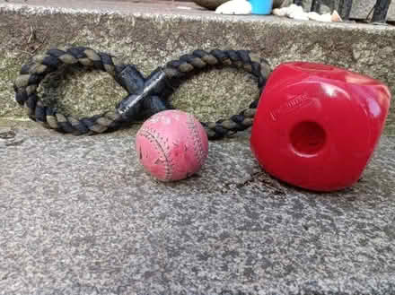 Photo of free Dog toys (AB25) #1