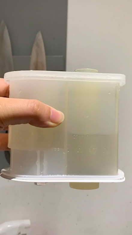 Photo of Heating System Condensate Trap (L27) #1