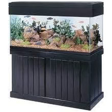 Photo of Aquarium with Stand (Toronto) #1