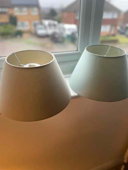Photo of free 2x lamp/ceiling light shades (Tunbridge Wells) #1