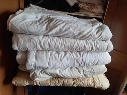 Photo of free 5 single duvets, (Divinity Road OX4) #1