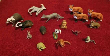 Photo of free Animals of Farthing Wood Figures (Oakwood EN2) #1