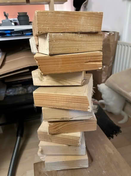 Photo of free 10 pieces of chunky pine offcuts (E8) #3