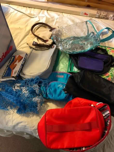 Photo of free Bags various (Coburgh Corner TQ13) #1