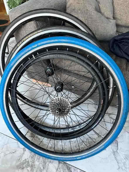 Photo of free Bike tyres and wheel frames (Clifton Without YO30) #1