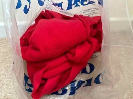 Photo of free Bag of red fleece scraps (Segensworth East PO15) #1