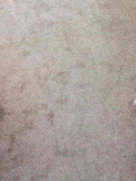 Photo of free Large piece of whipped edge carpet/rug (Yealand Redmayne LA5) #1