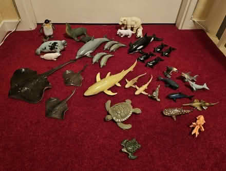 Photo of free Plastic Sea Animals (Oakwood EN2) #1