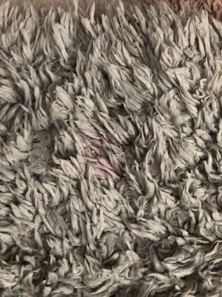 Photo of free Grey rug (NG24) #2