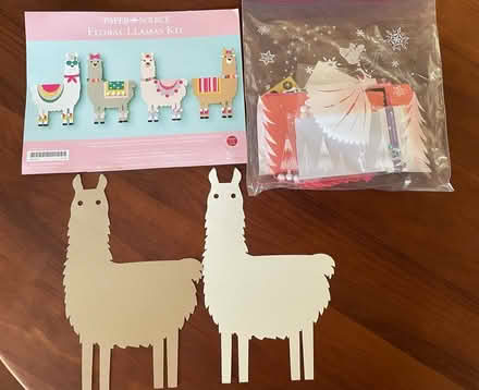 Photo of free Paper Source Llama Craft - 2 only (Mt View near Springer / Cuesta) #1