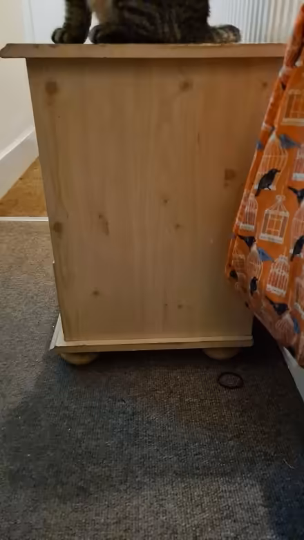 Photo of free Cabinet/bedside table (Hanover BN2) #4