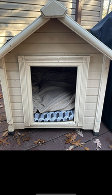 Photo of free Dog house (Saugerties) #1