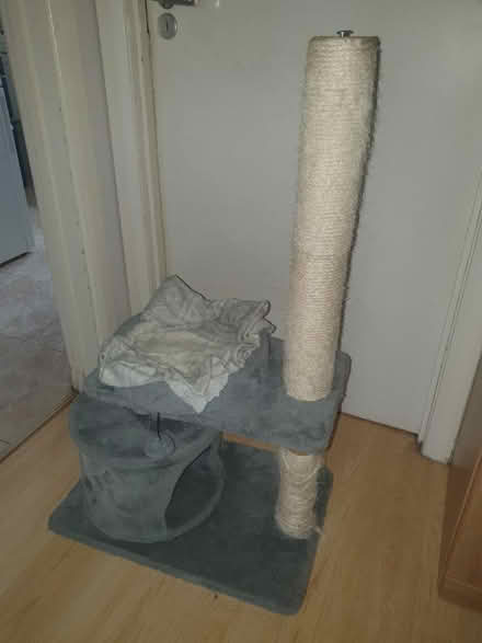 Photo of free Cat tower (Isleworth TW7) #2