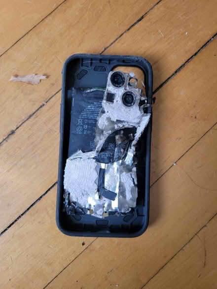 Photo of Verizon or unlocked cellphone (Dunham Park, Chicago) #1