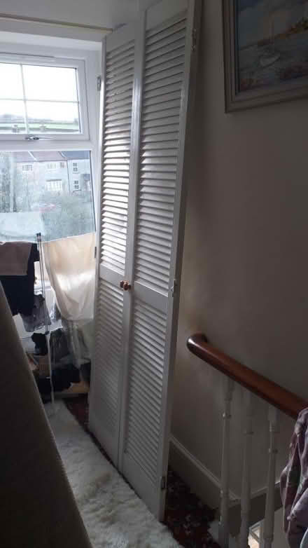 Photo of free Louvre door pair (Ainthorpe YO21) #3