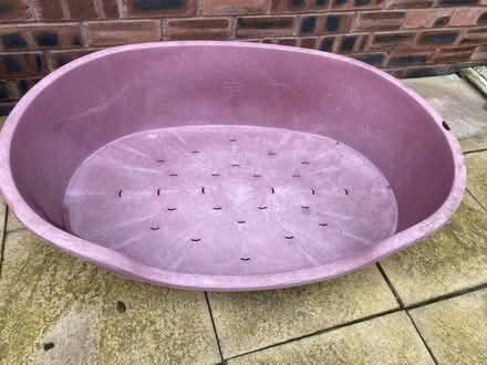 Photo of free XXL Dog bed (Flint) #2