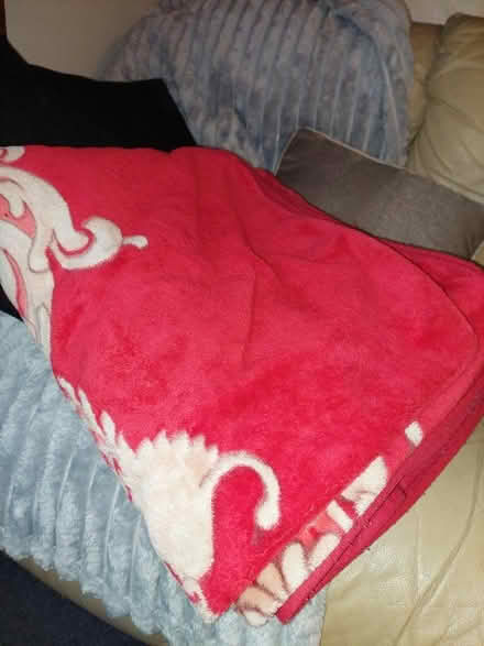 Photo of free Fleece blanket widely used (E17) #2