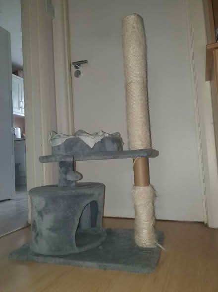 Photo of free Cat tower (Isleworth TW7) #1