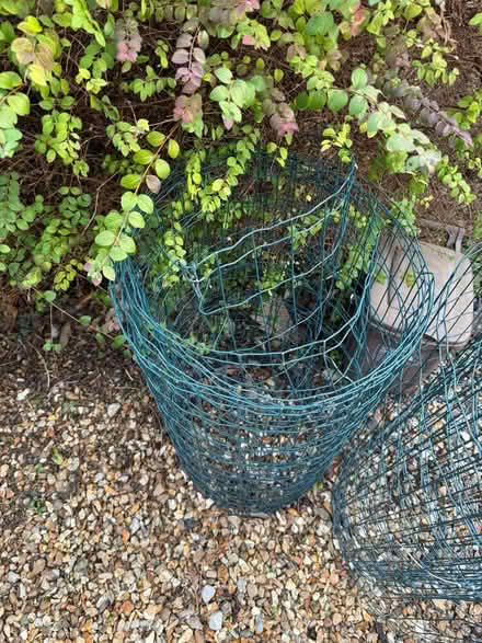 Photo of free Wire mesh fence roll (Ickleford, SG5) #1
