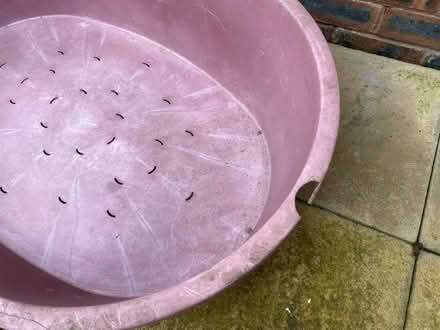 Photo of free XXL Dog bed (Flint) #1