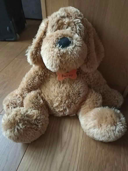 Photo of free Three plush dog toys (Romford RM1) #4