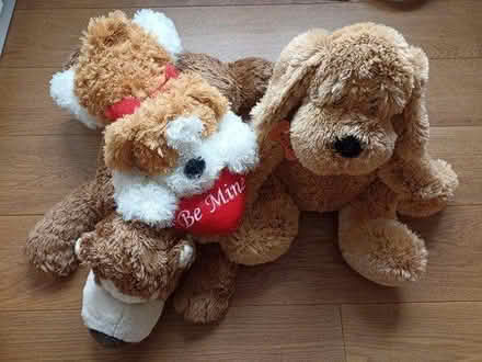 Photo of free Three plush dog toys (Romford RM1) #2