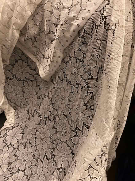 Photo of free Net curtains / material (Bloomsbury WC1H) #2