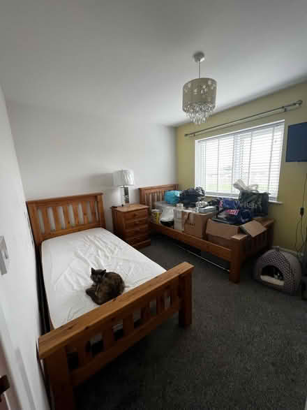 Photo of free 2x single pine beds (Overton) #1