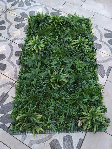 Photo of free Plant wall (G73) #1