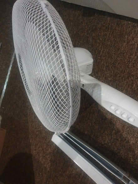 Photo of free Fan (IG3) #1
