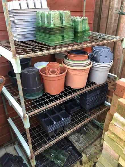 Photo of free Plant pots & seed trays (Swinnow LS28) #1