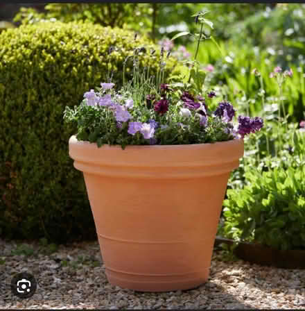 Photo of Large plant pots (Stoke on Trent, ST4) #1