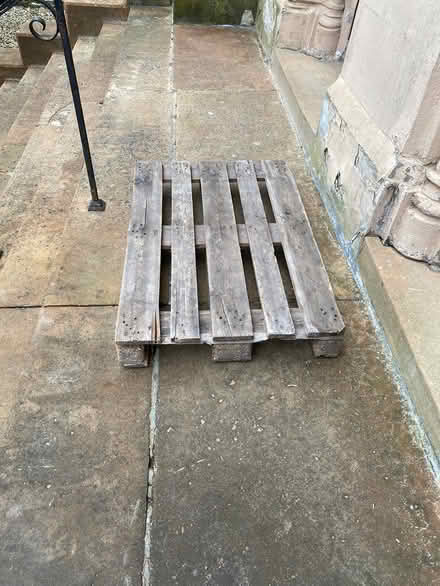 Photo of free Pallet (Charing Cross G3) #1