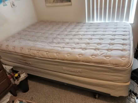 Photo of free Queen bed (Tarpon Springs) #1