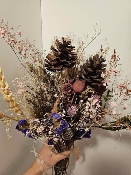 Photo of free Dry flowers (W5) #1