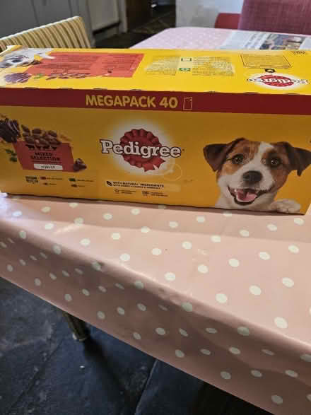 Photo of free Dog food (Frome BA11) #1