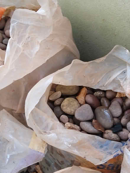 Photo of free Garden Pebbles (Torquay TQ1) #3