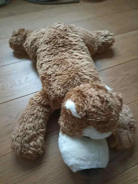 Photo of free Three plush dog toys (Romford RM1) #3