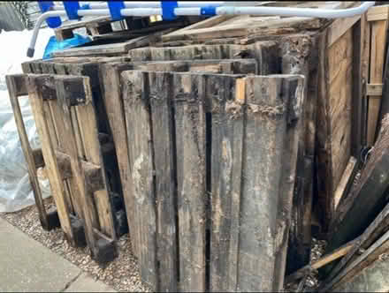 Photo of free Pallets (TW17) #1