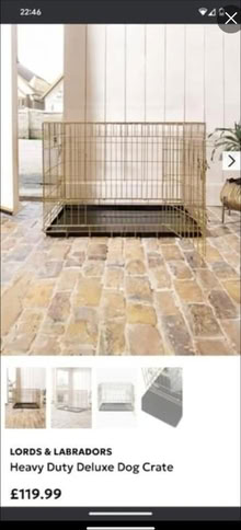 Photo of free Very large dog crate (Rugby CV23) #1